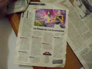 7.17- la fiesta de las feromonas